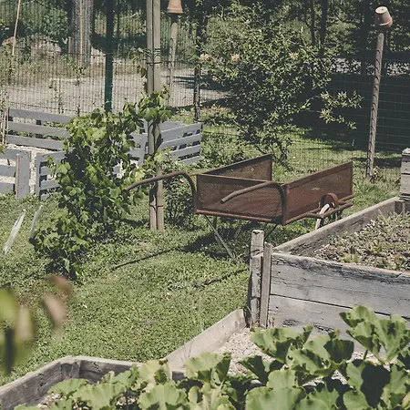 La Luna Nel Pozzo Guest house