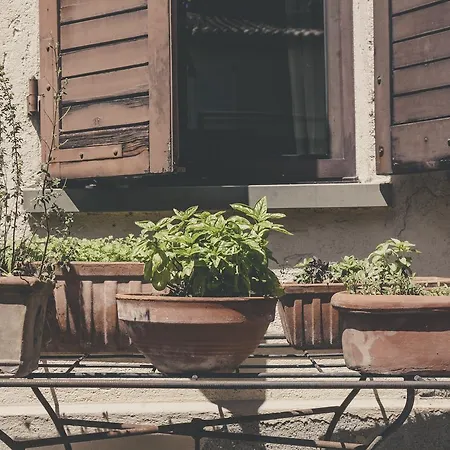 La Luna Nel Pozzo Parma