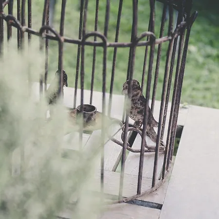La Luna Nel Pozzo Parma