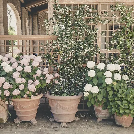 La Luna Nel Pozzo Gasthuis 4*