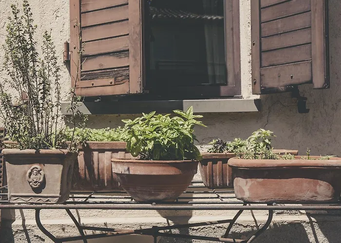 La Luna Nel Pozzo Parma