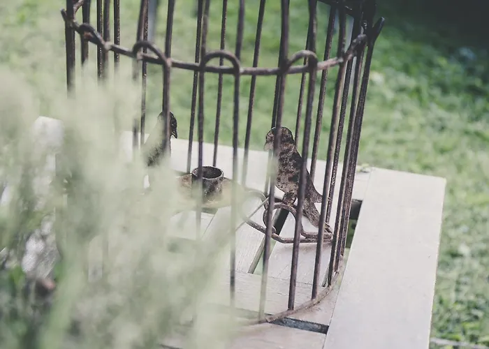 La Luna Nel Pozzo 帕爾馬